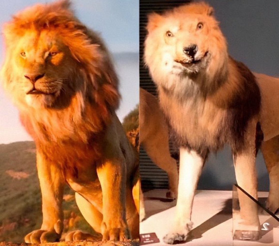 Donald Tusk w Polsce i za granicą.