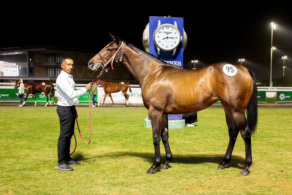 JockeyClub_SA's tweet photo. اليوم الثاني : 2025/12/1

مهره رقم " 95 " 

ابن الفحل : انتاسيد

المشتري : تركي فنجال الشيباني

البائع : اسطبل تمكين للسباقات

المبلغ : 100 ألف ريال https://t.co/nL7moC7tiO