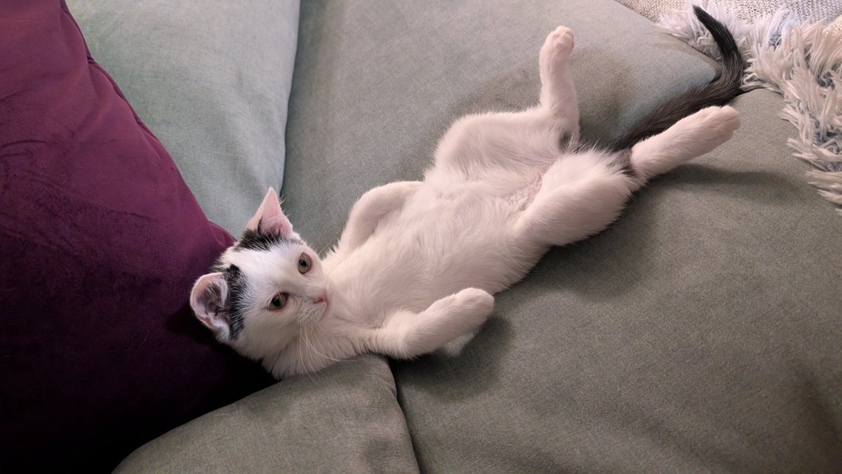 Привіт, збираю для 101 бригаді, батальйону безпілотних систем, на AvengeAngel Big Hulk Repeater підсилювач керування для антен 2.4/5.2/5.8ггц

Допоможіть закрити цей збір, я вам поки хтивку кота, а після звіт

send.monobank.ua/jar/5knQwRNhgZ