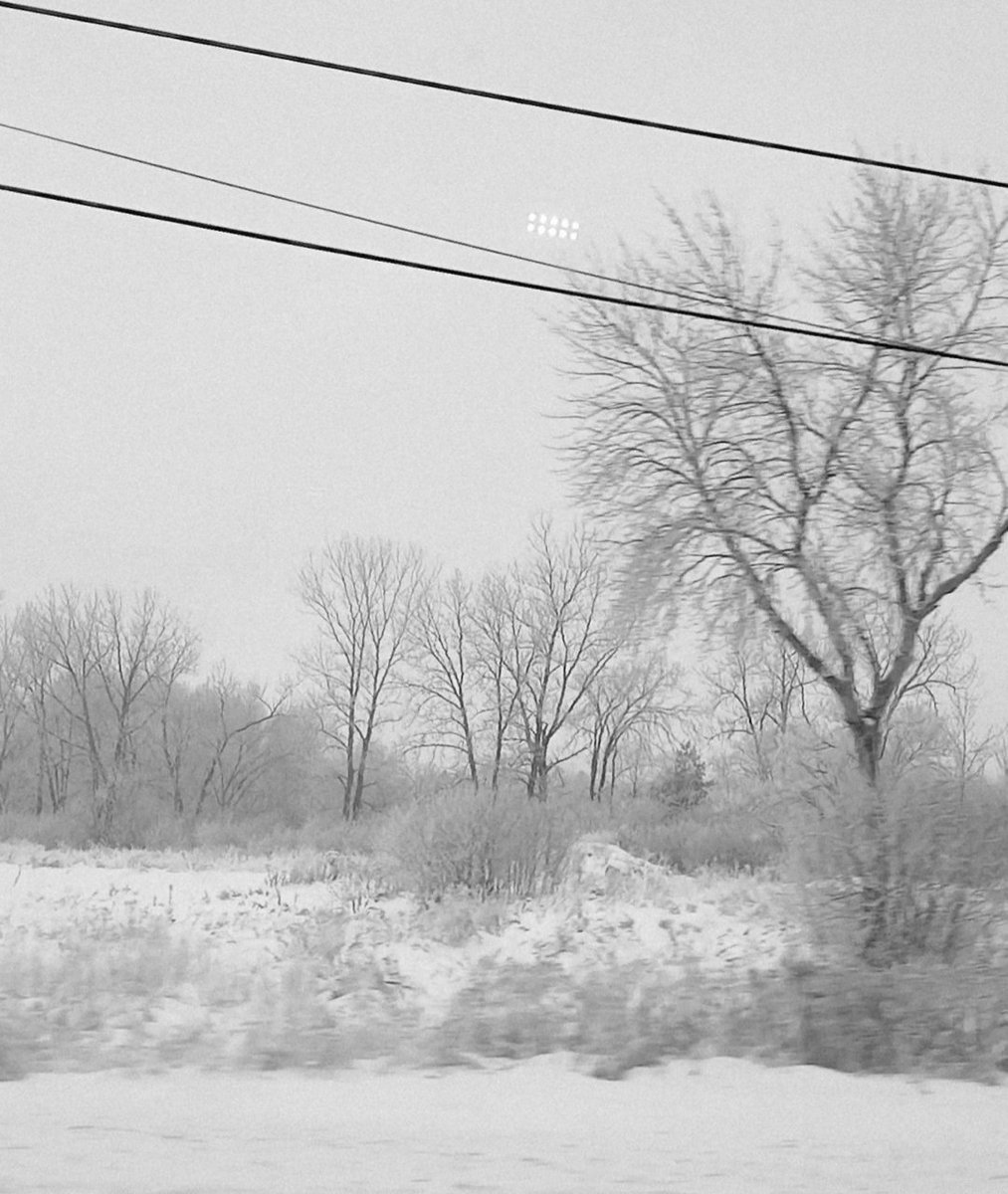 Onedove_LV's tweet image. From the metro this morning. ❄️

#AlphabetChallenge #WeekWforWindows