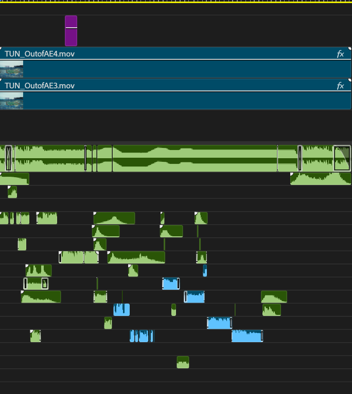 Dom Guerrera🎥 tweet media