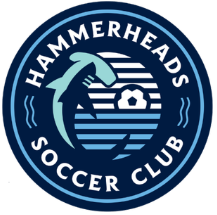 2009 Hammerheads Girls ECNL tweet media