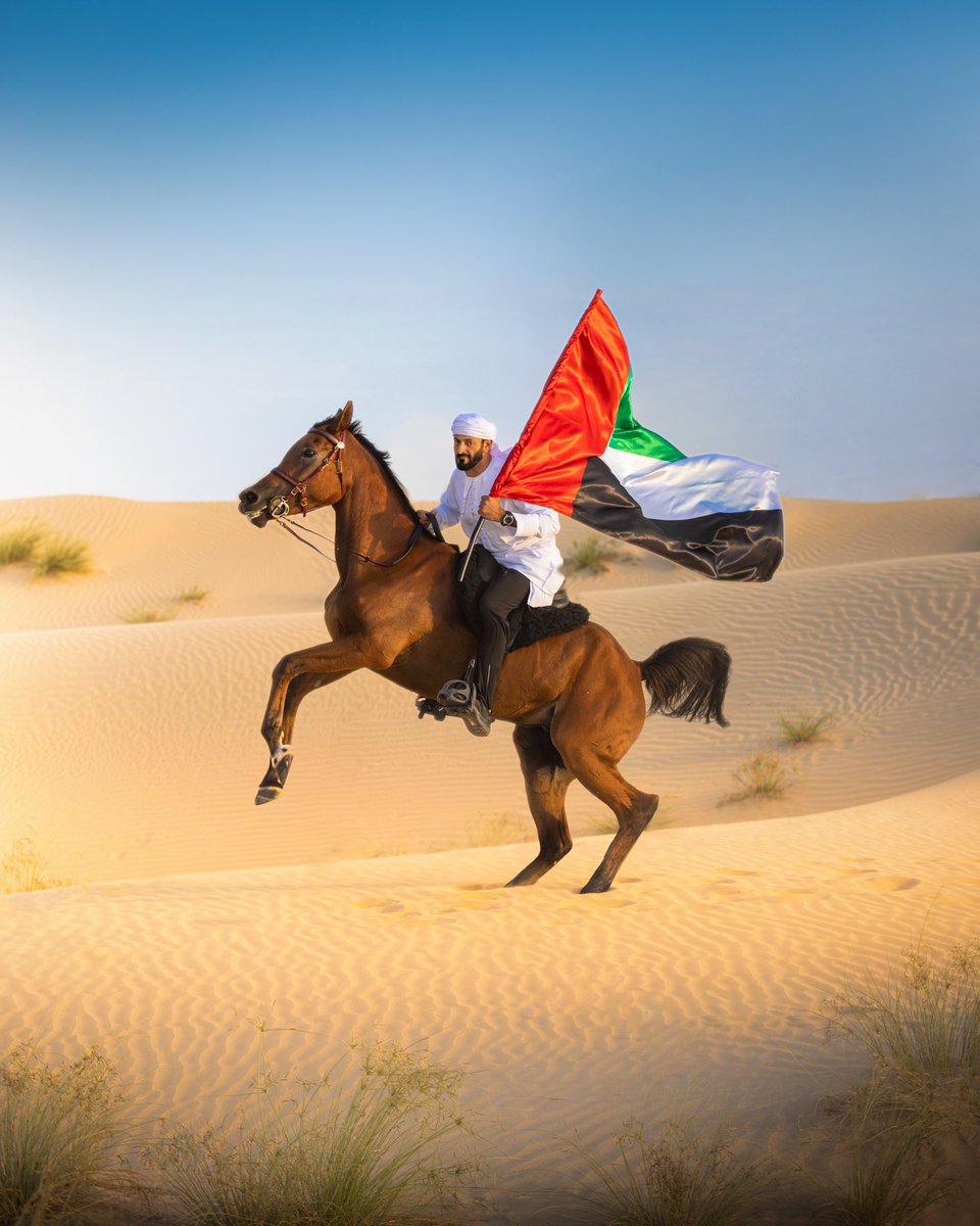 شموخ tweet media