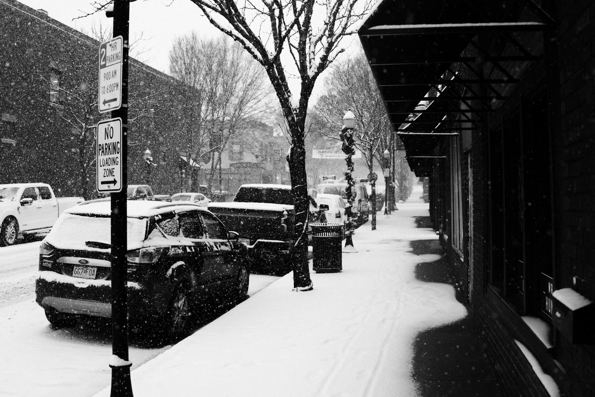 .gio🌿 tweet media