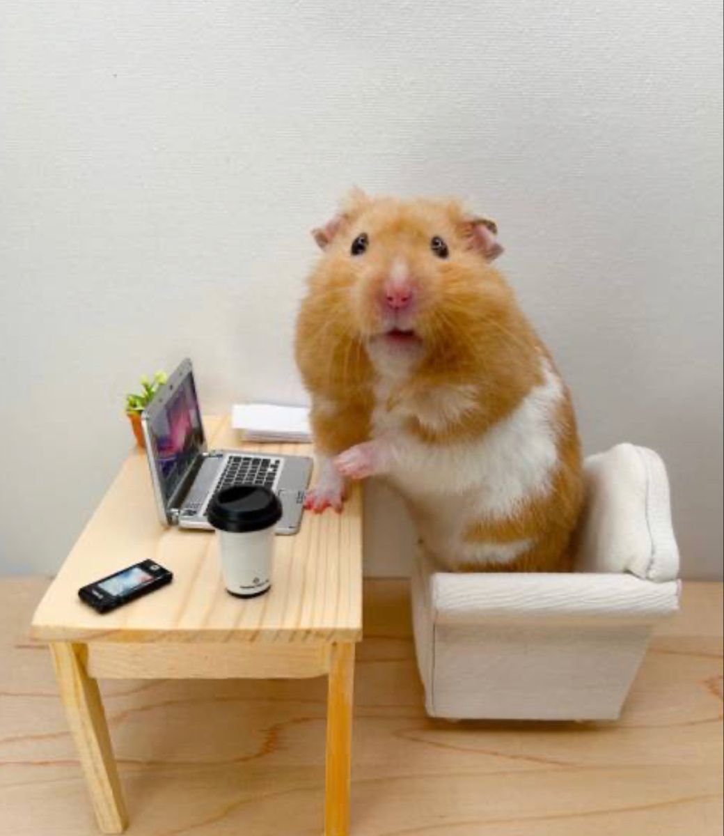 it’s my 9-to-5 job earning $REVA