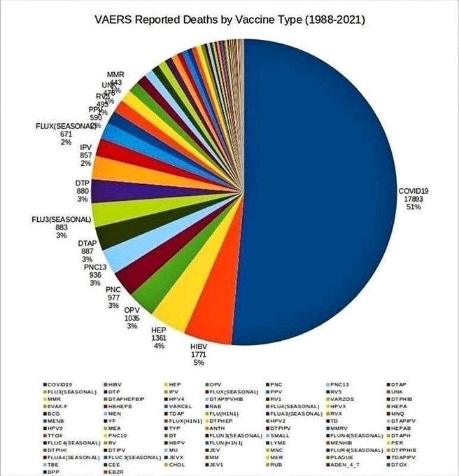 CobyObi's tweet image. Take a look at this: the VAERS chart. The data forms a pattern that looks eerily like a clock winding toward disaster. 

Keep in mind: this chart reflects only the first 13 months of Covid-19 vaccinations.

After that period, most physicians drastically reduced, or stopped…