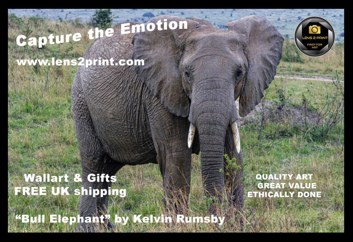 Lens2Print's tweet photo. For more fabulous images bm Kelvin:
https://t.co/idS2nTLsP8
https://t.co/RWv8XuhD3i
QUALITY ART * GREAT VALUE * ETHICALLY DONE
#lens2print #freeukshipping #ethical #canvasprints #bestvalue #firstforart #gifts #qualityart #bestprices #acrylicprint https://t.co/W8Nlv9iuSD