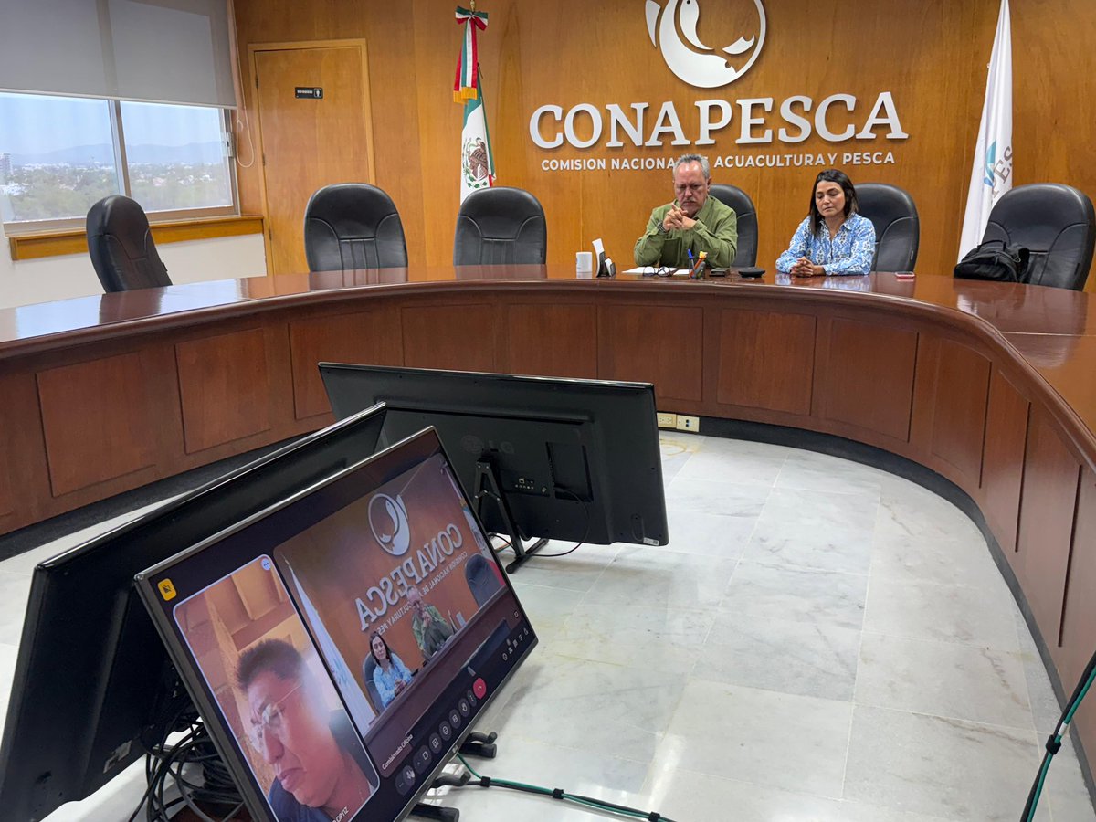 RigoSalgadoV's tweet photo. En reunión virtual con Marco Antonio Ortiz Salas, dirigente de la #CODUC, para dar seguimiento a sus planteamientos y solicitudes.
Desde @Conapesca reiteramos nuestro compromiso de mantener un diálogo abierto y trabajar de manera coordinada con todas las organizaciones del sector.