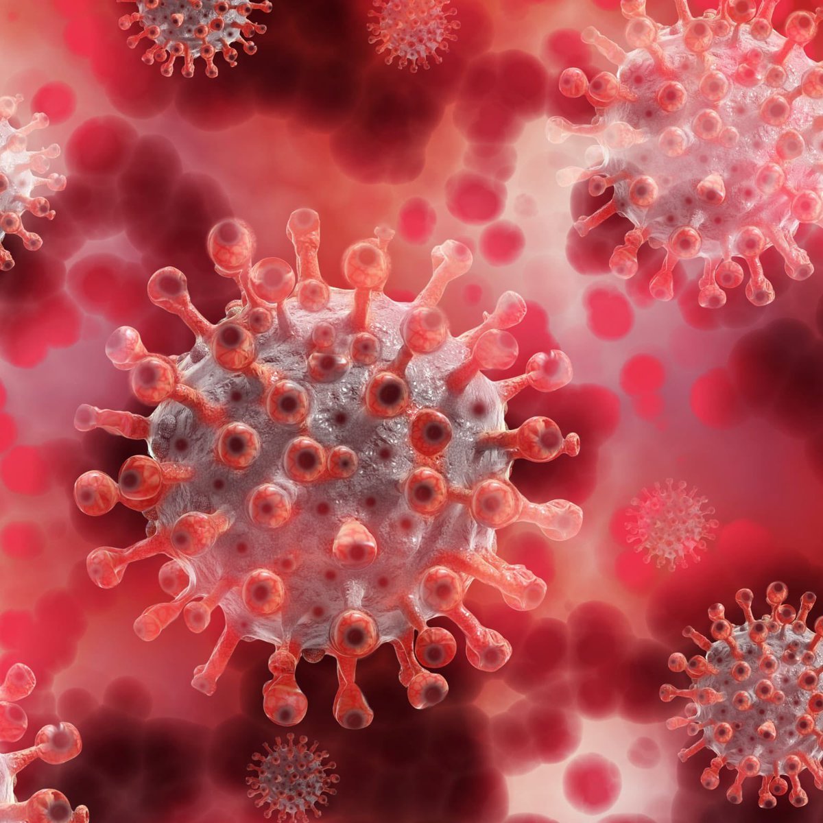 Indie5051's tweet image. Hace 6 años, el 1 de diciembre de 2019, surgió el primer caso conocido de COVID-19 en Wuhan, China.

Desde entonces, el virus ha provocado más de 778 millones de infecciones confirmadas y más de 7,1 millones de muertes en todo el mundo.