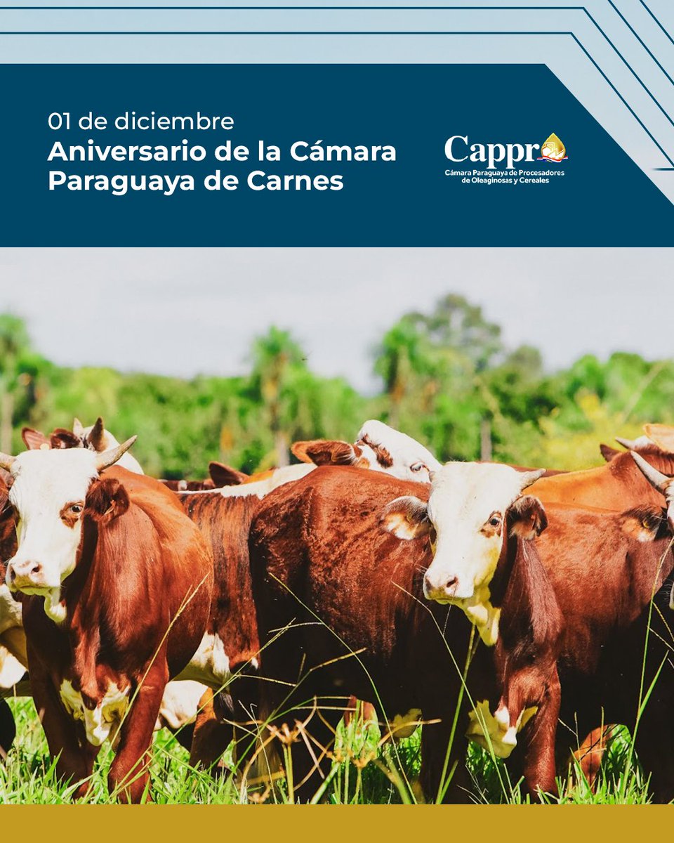 cappropy's tweet image. 🎉 Felicitamos a la Cámara Paraguaya de la Carne en su aniversario.

Un aliado clave para el desarrollo de la cadena agroindustrial nacional.

#CAPPRO #CPC #SectorProductivo