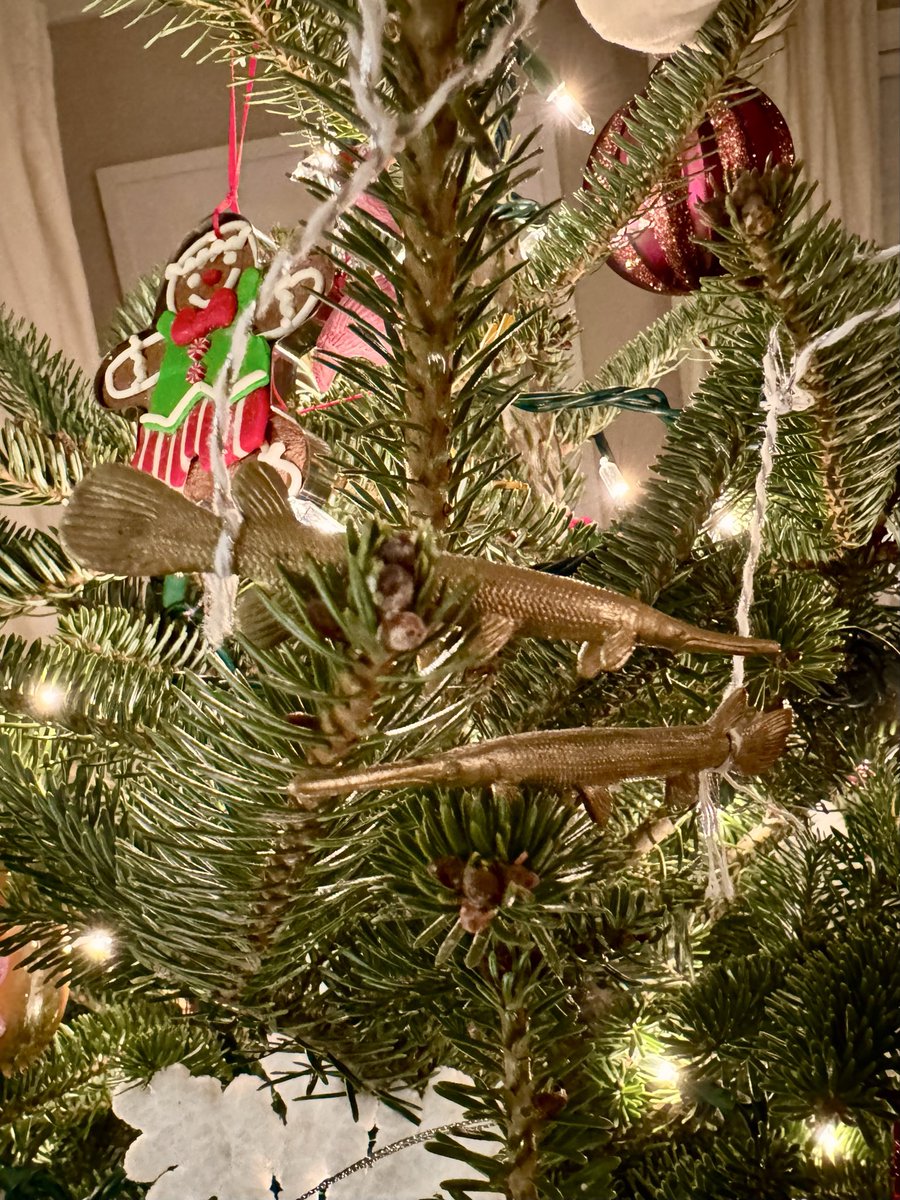 Dr. Solomon David tweet media