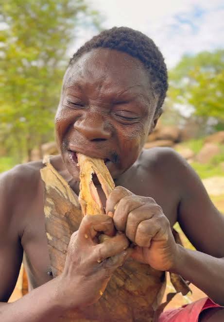 Sadiqbyte's tweet image. November!