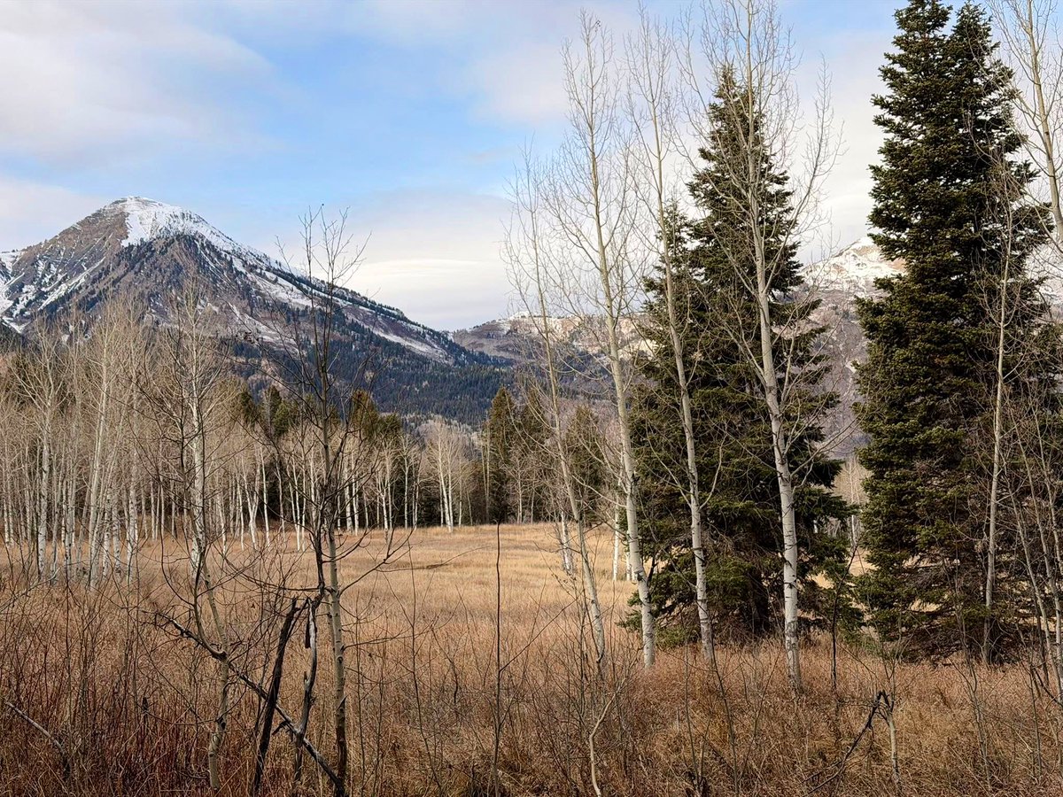 razzle (@razzledaxel) on Twitter photo 