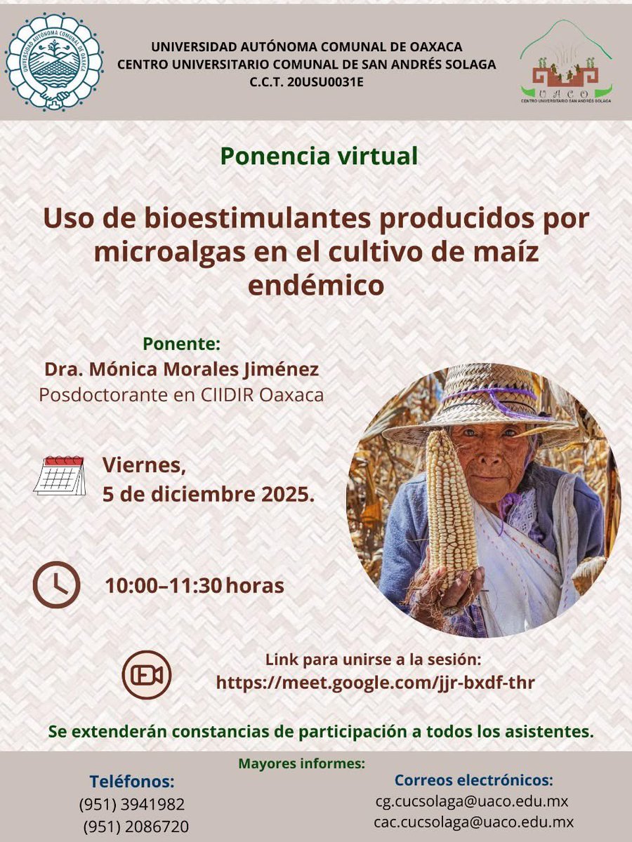 🌞Desde el Centro Universitario Comunal de Solaga, abrimos este espacio para seguir fortaleciendo la formación agroecológica y el cuidado de nuestro maíz originario.

🗓 Viernes, 05 de diciembre de 2025.
⏰ 10:00 a.m.
💻 Vía Google Meet.   meet.google.com/jjr-bxdf-thr