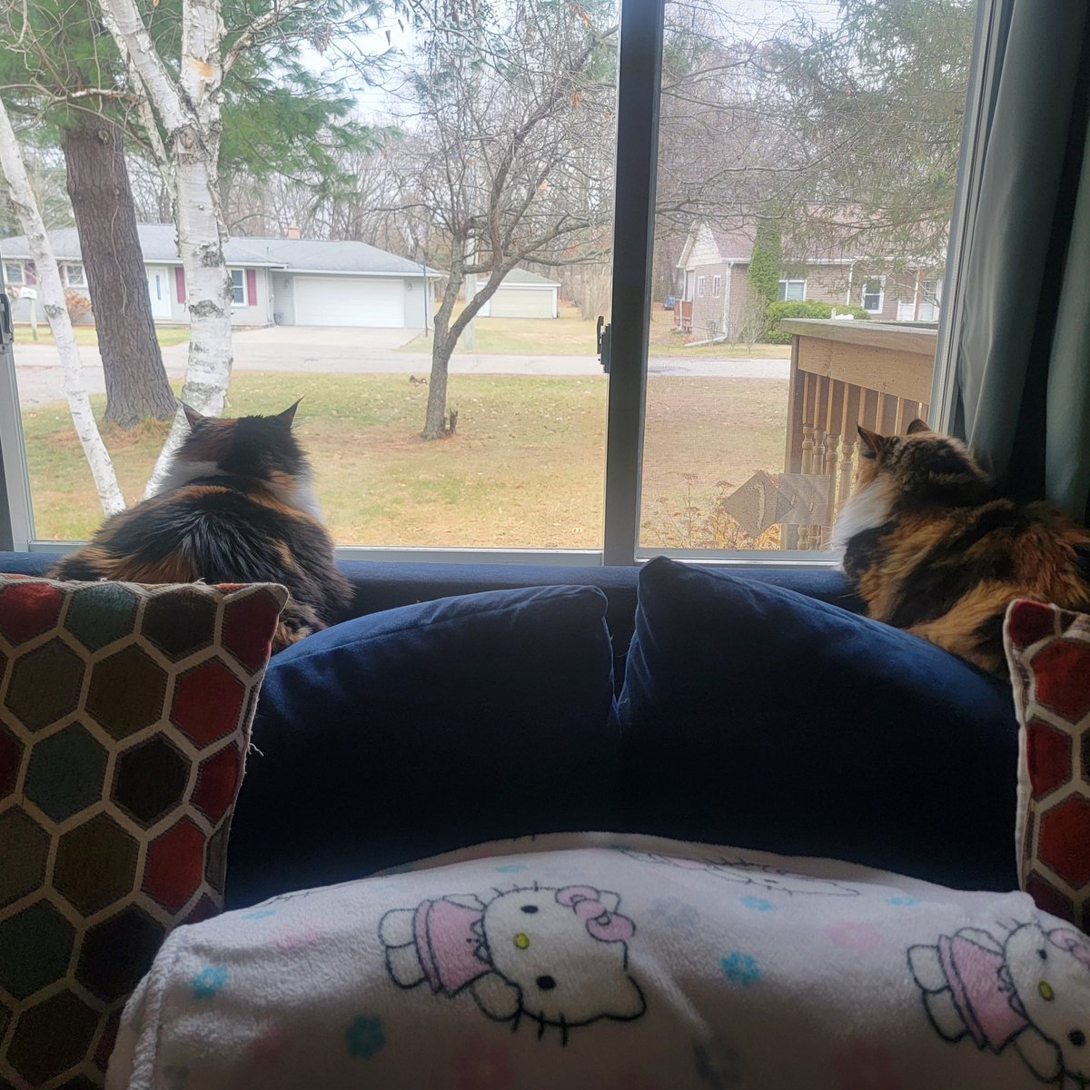 Koi: Hey MaoMao
MaoMao: Ya?
Koi: Do u thinks we'll like it here in our new hombe?
MaoMao: Yis I think so, Koi ❤️
Koi: ❤️