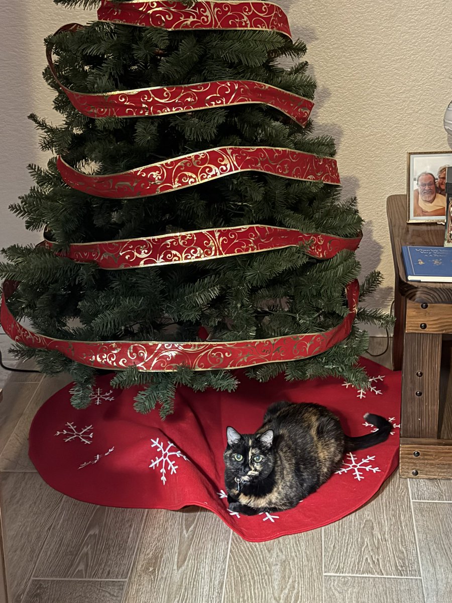 Mattie loves the tree and we haven’t even put the ornaments on it yet.