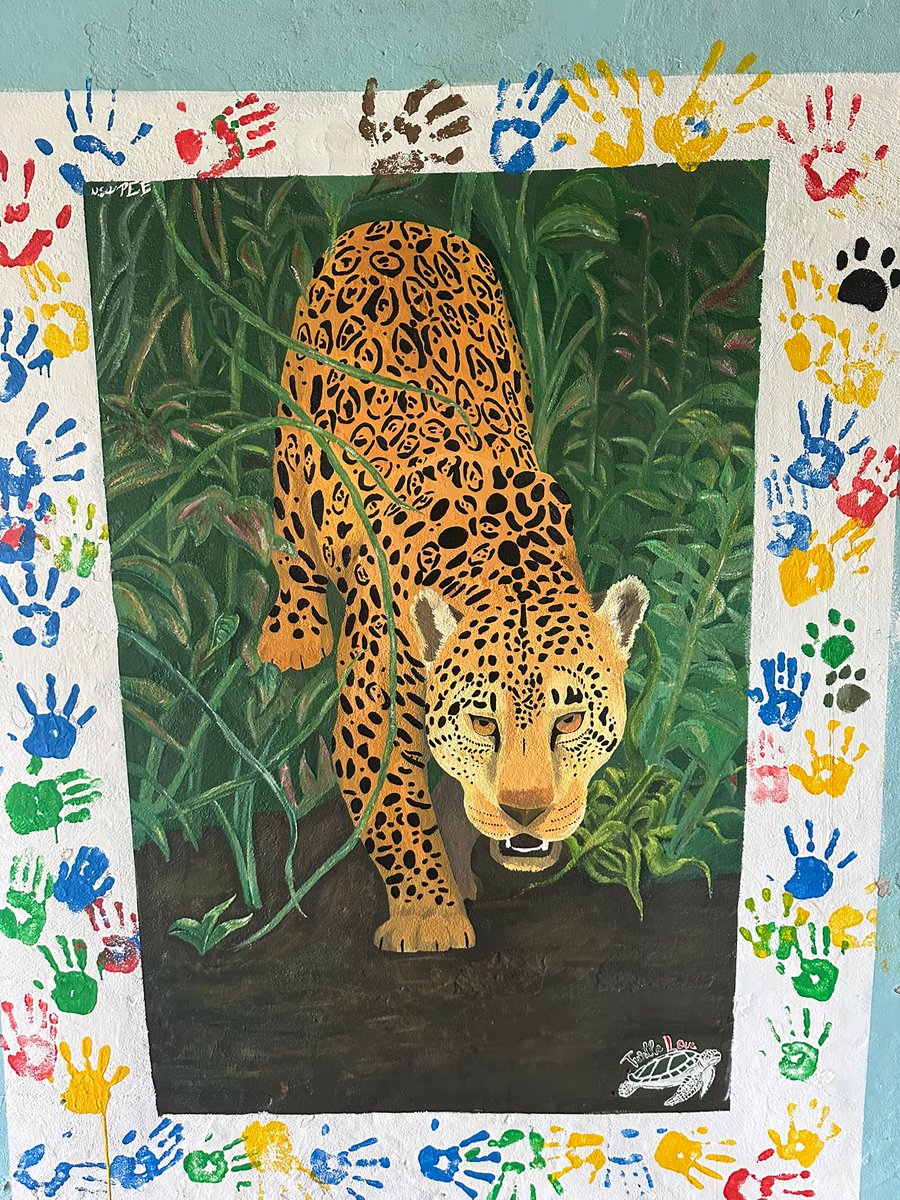 DIRUS Sociedad Científica tweet media