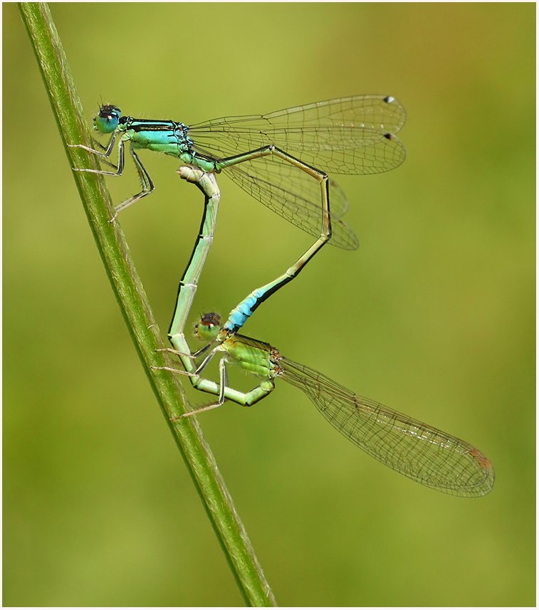 Marc Heath tweet media