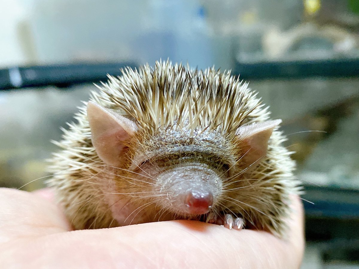 aisuke787☆ (@aisuke787) / Posts / X