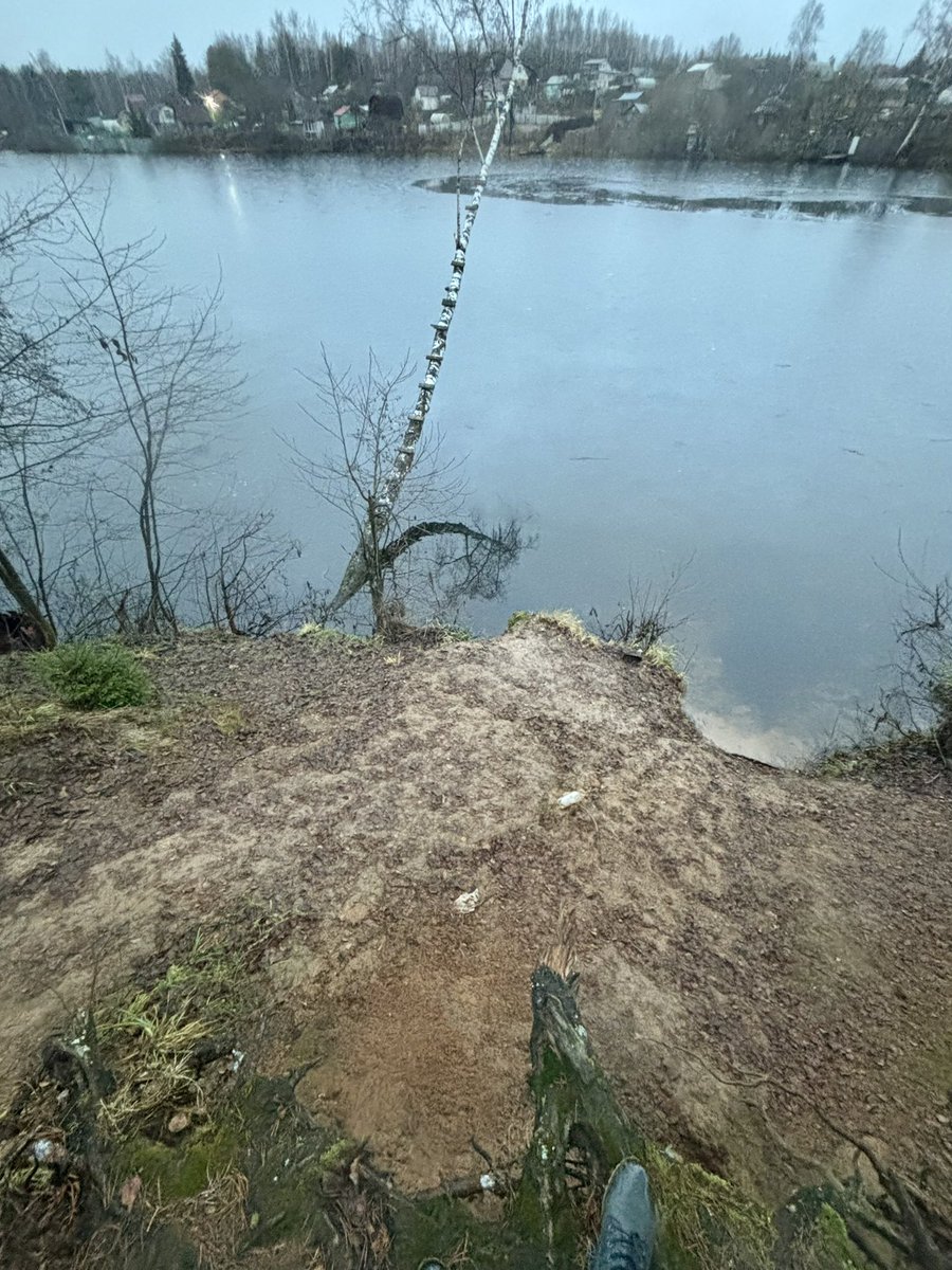 SSvetilnik's tweet photo. Давно не было традиционного фото смены времен года. Да, нынче зима начинается так. https://t.co/miW9TTjnL4