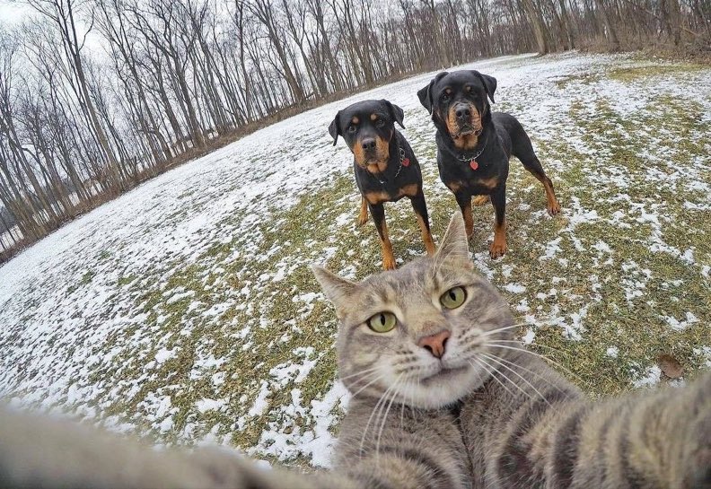 DeFi is full of tools, but very few protocols give users a way to automate real strategies without relying on third-party bots or opaque off-chain systems. 

<a href="/Ensofi_xyz/">EnsoFi</a> changes that through EDAS Agents, on-chain automated strategies that can lend, borrow, rebalance, optimize