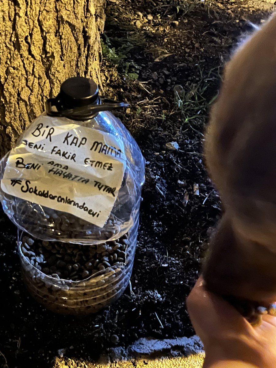 Bir kap mama seni fakir etmez ama beni hayatta tutar 🐶🐱

#BirKapSuBirKapMama 
#Onlarİçin
#SessizDostlar
#PatilereDestek
#BirCanKurtar
#YalnızDeğiller
#PatiliHayatlar
.
.
.
#sokaklaronlarındahakkı