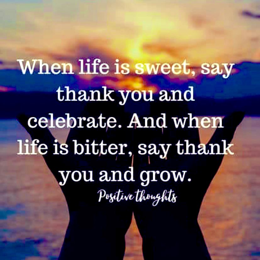 gary_hensel's tweet image. 