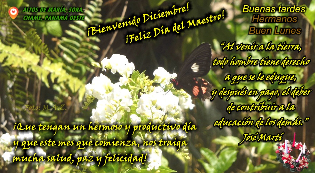 residpalmarview's tweet image. #BuenLunes. #DíadelMaestro #BuenInicioDeSemana #BienvenidoDiciembre #Adviento. “Al venir a la tierra, todo hombre tiene derecho a que se le eduque, y después en pago, el deber de contribuir a la educación de los demás.”  José Martí. Cuídense mucho. 🙏#Panamá #VivaPanamá  🇵🇦