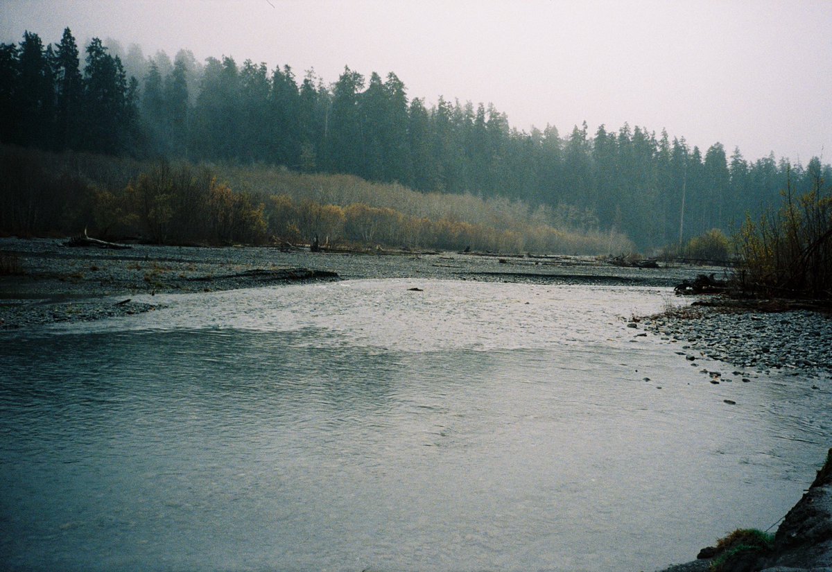 ariananyla's tweet photo. forks, washington <3 https://t.co/hGQHpEclNZ