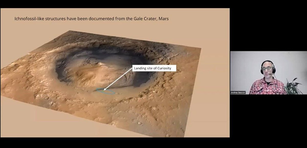 ABaucon's tweet image. How can #ichnology guide our search for extraterrestrial life ? My answer is now accessible online, courtesy of the International Ichnological Association, which has shared my talk on this topic: youtu.be/WTF9pUov8DE

#astrobiology #fossils #mars