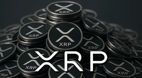 xrpaldia's tweet image. En menos de 12 meses se agotará $XRP de los exchange.

XRP AL DÍA