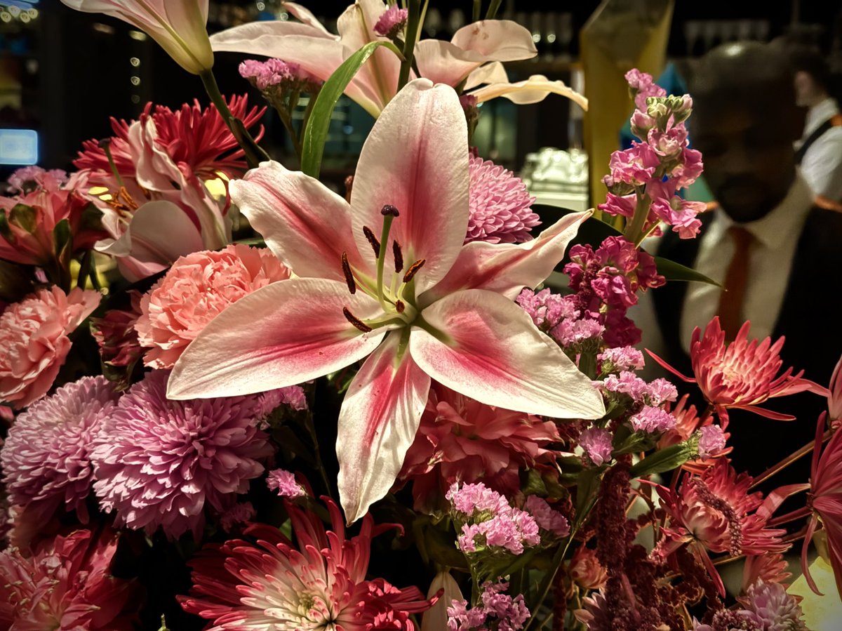 7x790I's tweet photo. 🌺⭐️❣️🪩🧸🥂❣️🌻 https://t.co/0wekGFDPwy