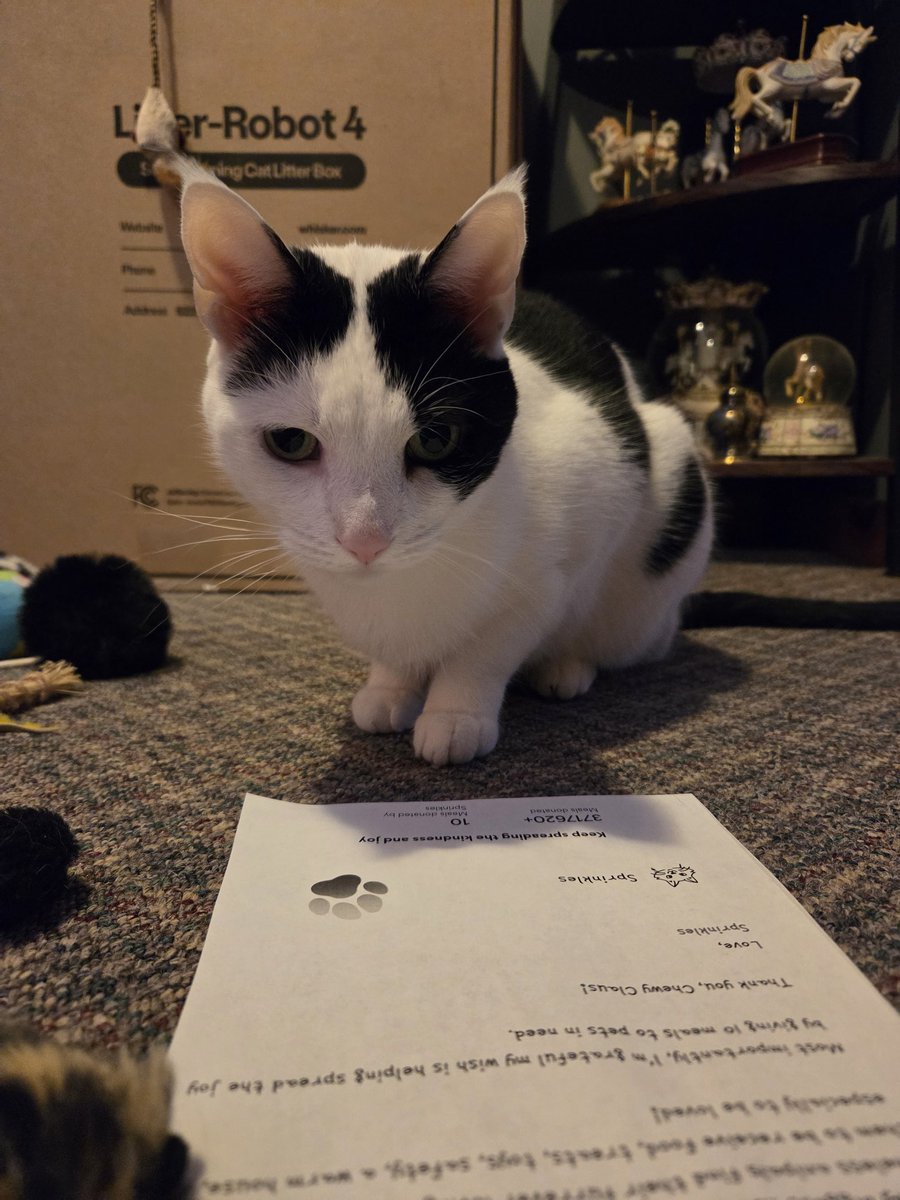 Just checking out my letter to <a href="/Chewy/">Chewy</a> Claus! I'm not asking for anything for myself, but I am instead asking my gifts to be given to anipals that need a loving furrever home! Hope mew have a purrfect #kittyloafmonday! #Cowcat #CatsOfTwitterX #AdoptDontShop #StaySafeFurrends