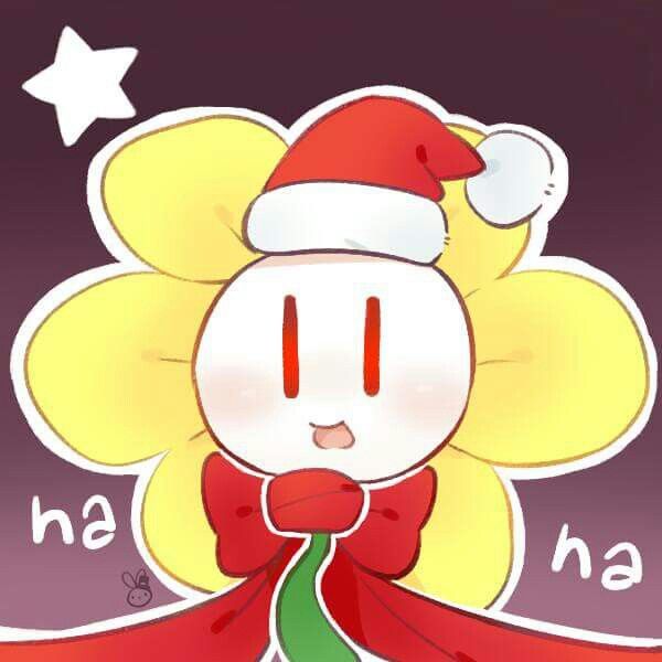 Já que é dezembro o mês do natal foto nova até dia 26