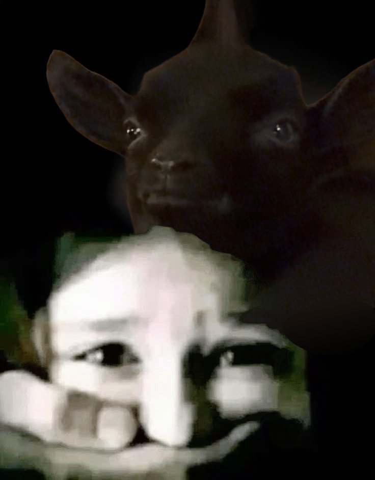 fucc da fomo tweet media