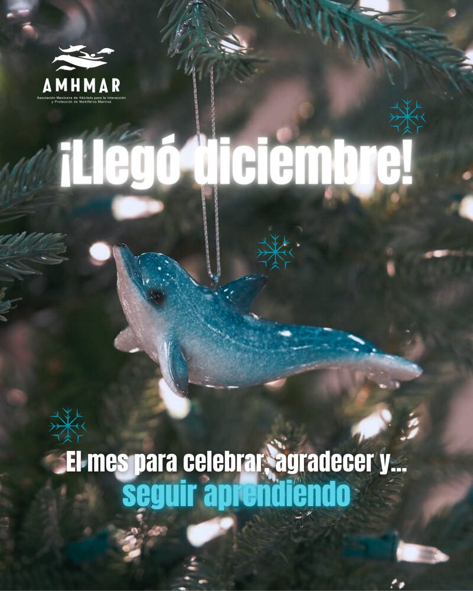 ¡Diciembre!🎄

Para muchos el mes favorito. La celebración y el agradecimiento salen a relucir en este mes🥰 Y aunque ya casi llegamos al final de este año, aún podemos seguir aprendiendo... ¡Aprende con nosotros en AMHMAR!