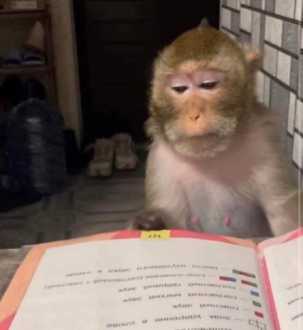 studywsasa_'s tweet image. indo ali ler coisa do curso q eu me inscrevi pra fazer nas férias já q não sei me aquietar um minuto, pelo menos não é nada relacionado a vestibular ent estamos no lucro