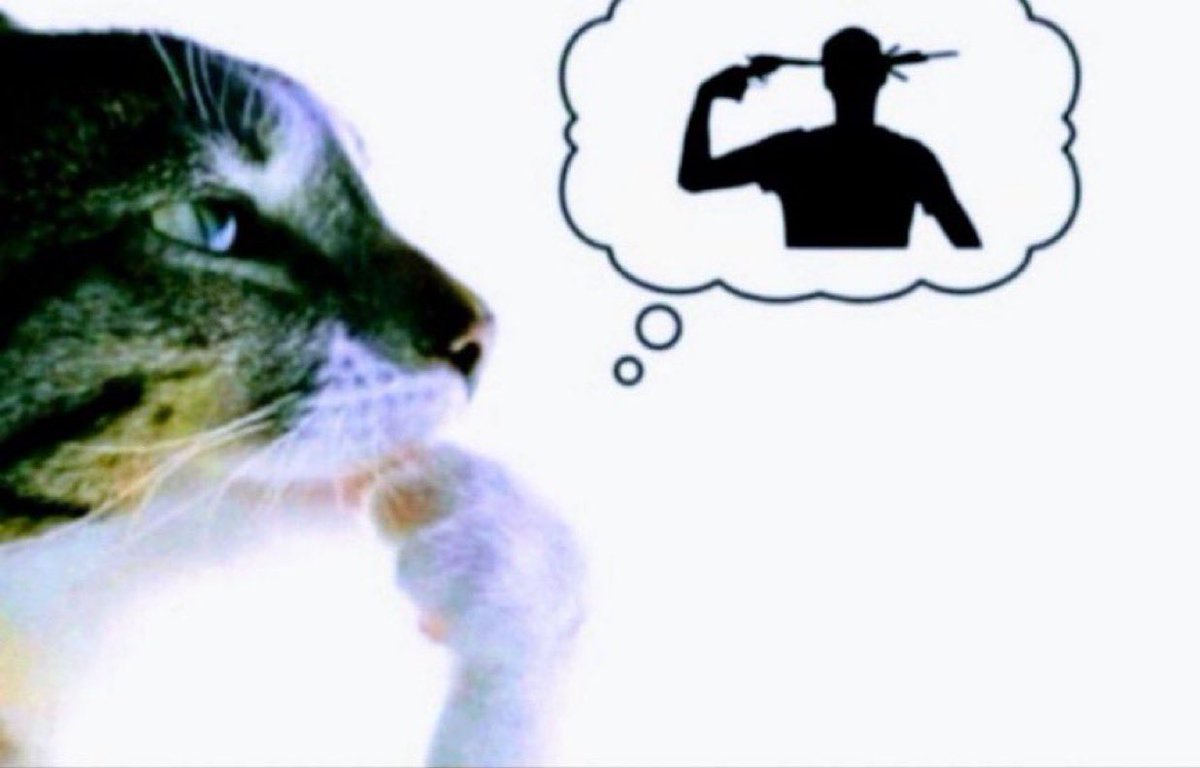 smartfeIIa's tweet image. I miss my wife #fr