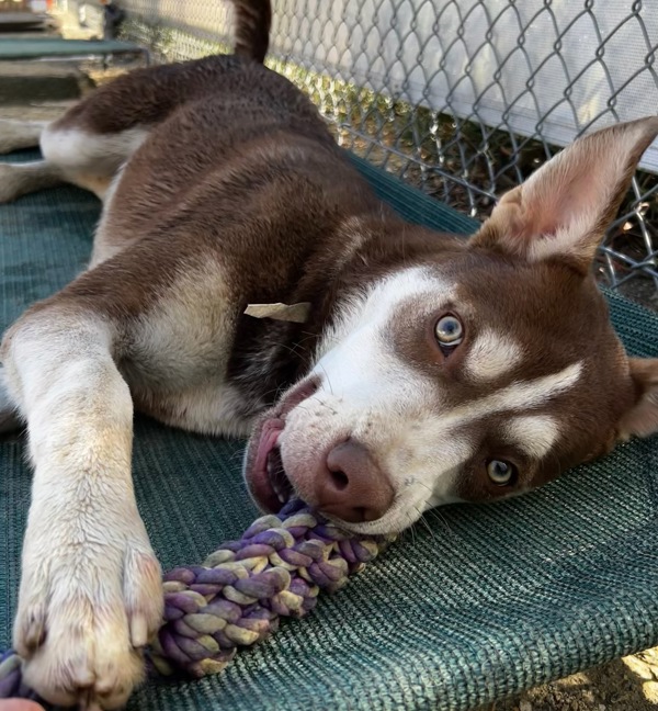 Off the Clock tweet media