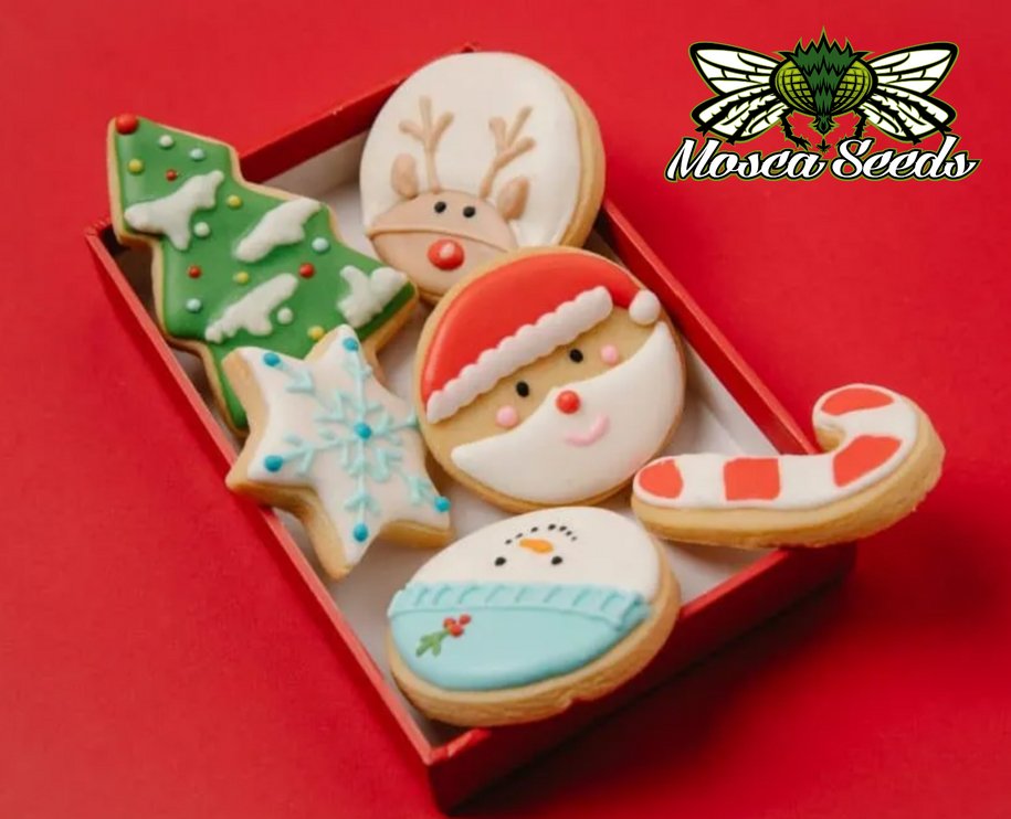 MoscaSeeds's tweet image. Happy December!💚💚
12 Days of C@nnabis Holiday Treats!🎁🎅🎄
fixyouredibles.com/2022/12/holida…

#moscaseeds #420 #growyourown #thc #medicalmarijuana #growmarijuana #illinoiscannabis #420 #supportlocalweed
