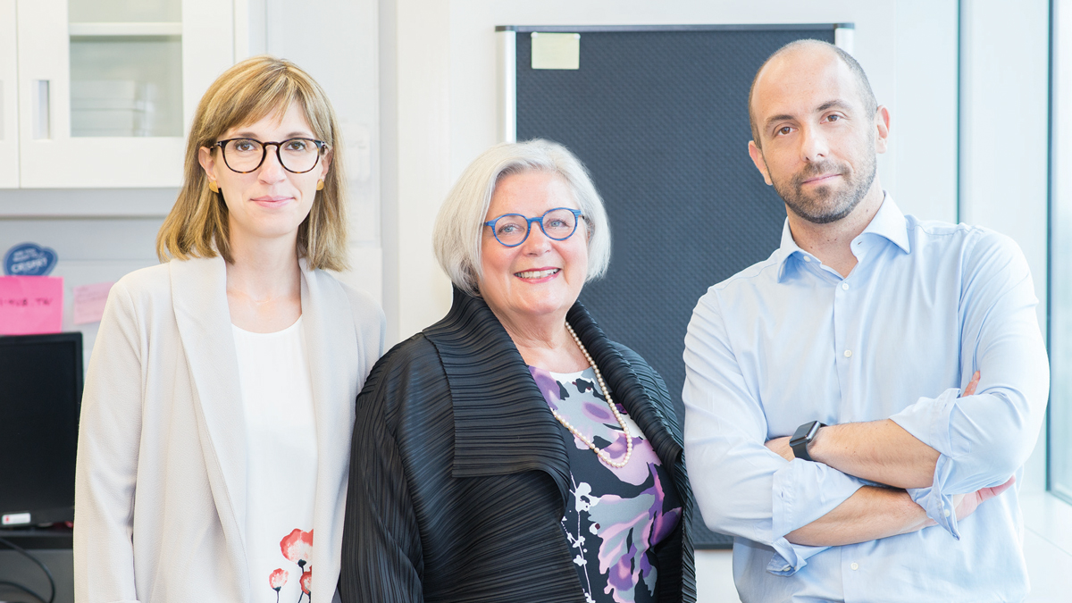 InvestissementQuébec tweet media