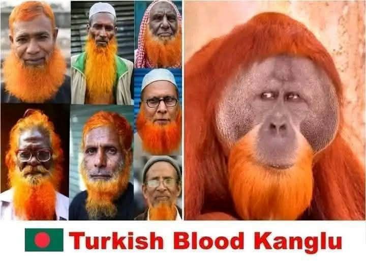 PastToFuture🚀 tweet media