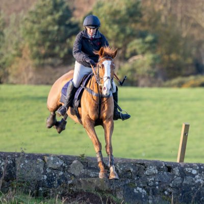 TillyrieStables's tweet photo. #NewProfilePic https://t.co/6qRCBTpgut