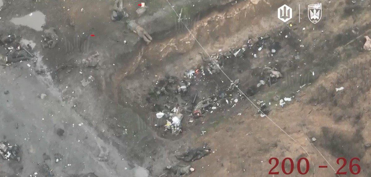 Maks_NAFO_FELLA's tweet image. Russians near Pokrovsk ☠️☠️☠️