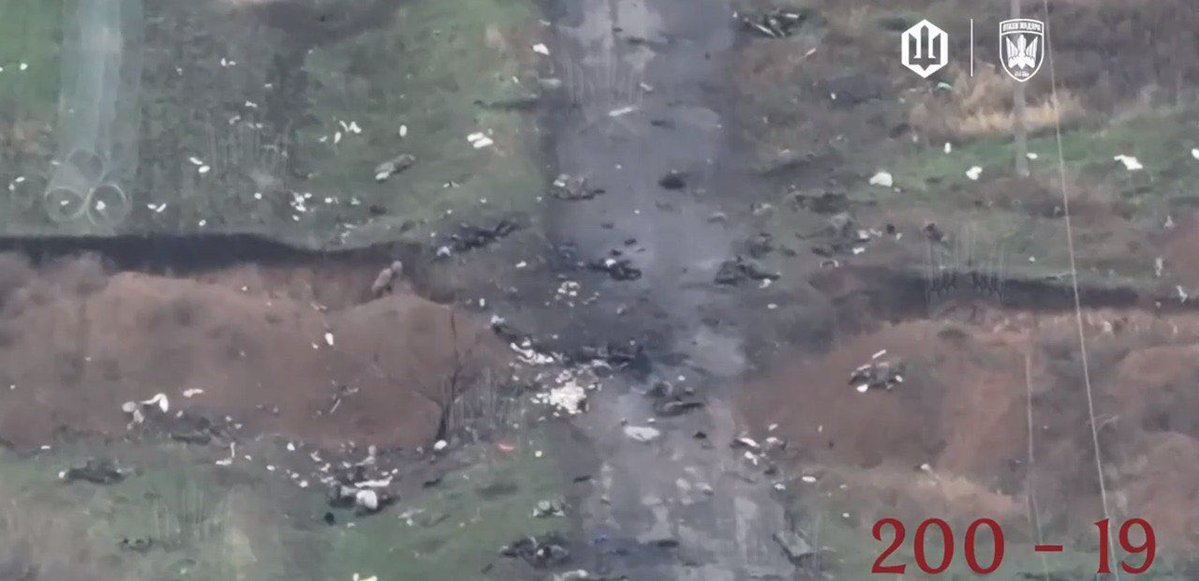 Maks_NAFO_FELLA's tweet image. Russians near Pokrovsk ☠️☠️☠️