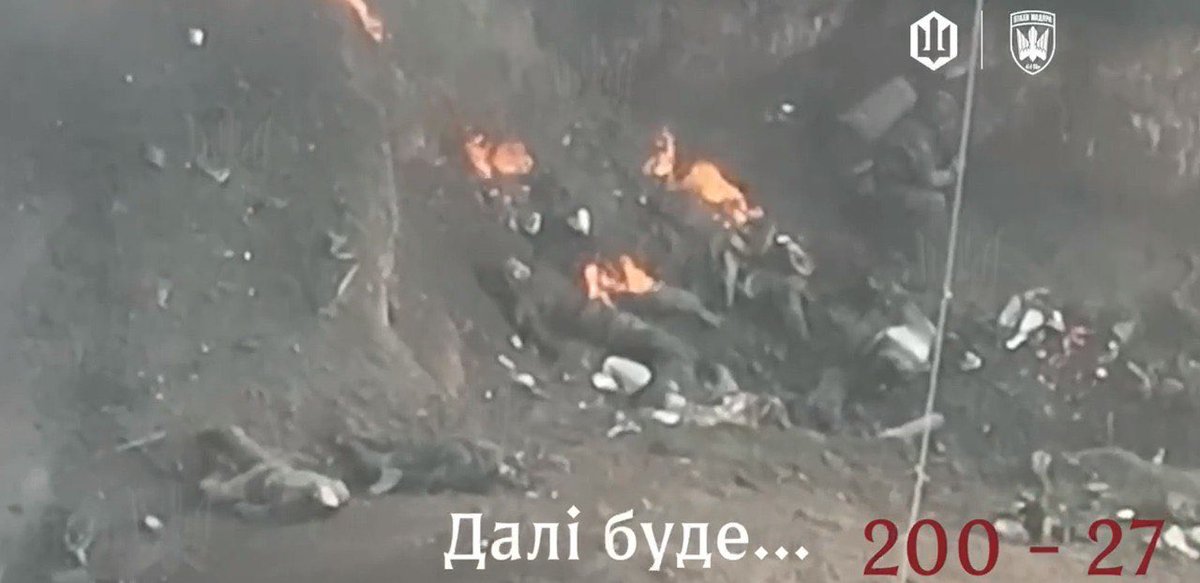 Maks_NAFO_FELLA's tweet image. Russians near Pokrovsk ☠️☠️☠️