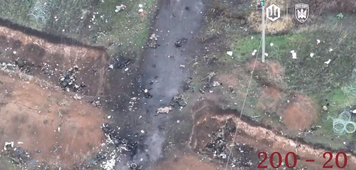 Maks_NAFO_FELLA's tweet image. Russians near Pokrovsk ☠️☠️☠️