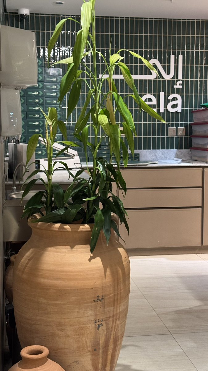 سارَّة (@lsara_111) on Twitter photo 