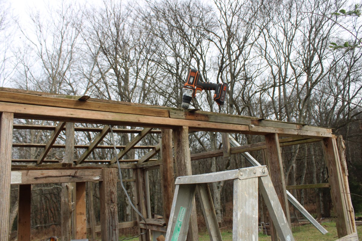 docsanderson's tweet image. #Scientists #Carpenter #RestorationProject #WildFireProtocol #Wolves @HeartsofHeroes_
@danpeckwx @Nature @Ginger_Zee
Mags G i beat the Storm got my wood cut termite damage repaired. oh i am SORE. Back to box to warm up rest &amp;amp; inside work. Love you Knot you Shag you Beautifuls Lee