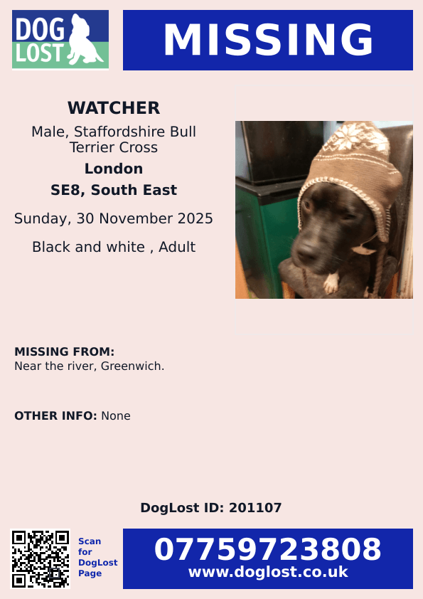millypod1's tweet photo. 🆘30 Nov 2025 #Lost Watcher #ScanMe
Staffordshire Bull Terrier Cross Male
Near the River #Greenwich #London #GreaterLondon #SE8
https://t.co/1VKx4AXGV6 https://t.co/Oh2kJE0SD5